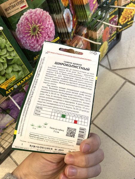 щавель Широколистный